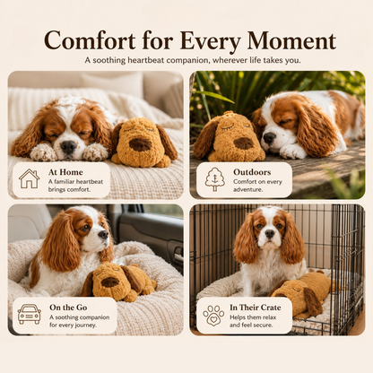 CalmTails Pet Pal